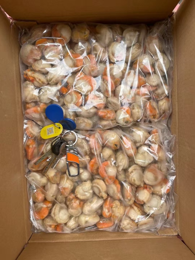 【精品】整箱扇贝肉去箱子10斤，规格齐全货源充足质量保证