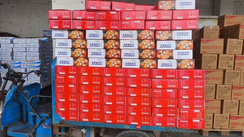 【精品】整箱扇贝肉去箱子10斤，规格齐全货源充足质量保证