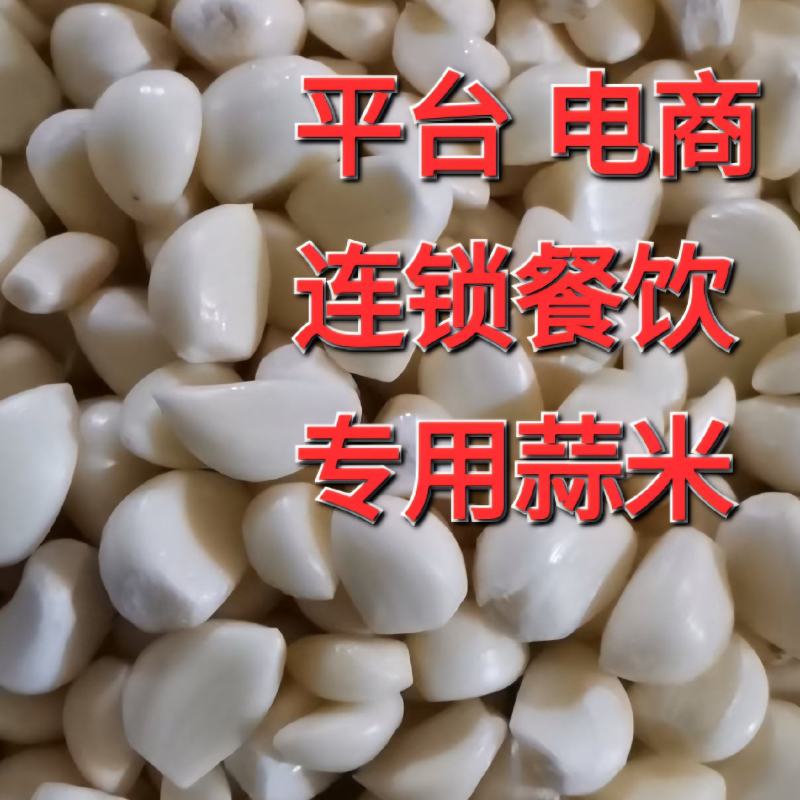 2026年无芽库内新蒜米蒜仔蒜瓣大蒜发市场蒜米。