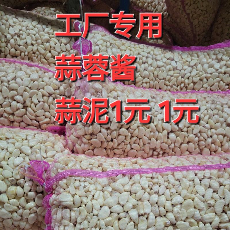 蒜米2026年新大蒜蒜米蒜仔蒜肉不泡水不添