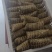 精品粽子批发货源充足量大从优厂家批发欢迎咨询