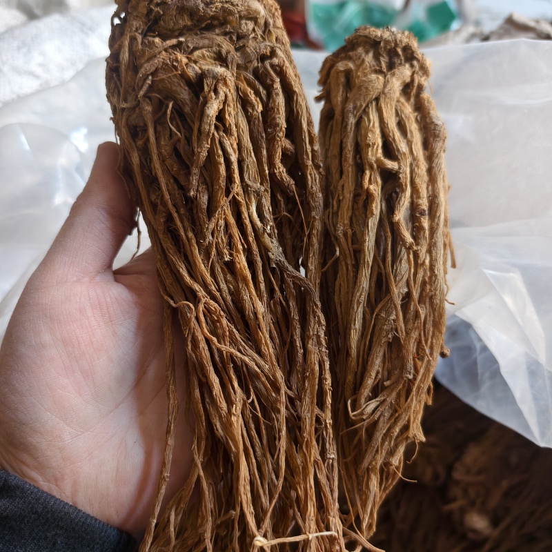 当归当归个无硫当归个产地甘肃省地道药材紫轩堂
