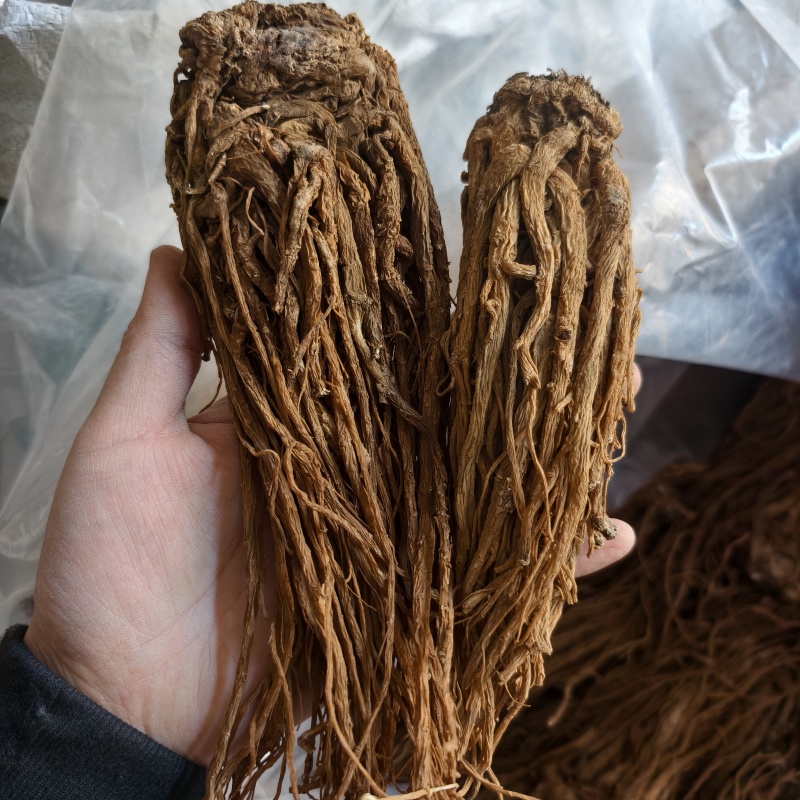 当归当归个无硫当归个产地甘肃省地道药材紫轩堂