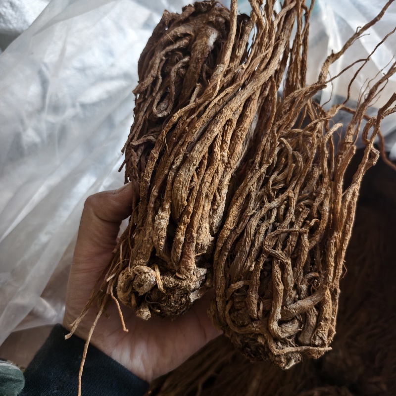 当归当归个无硫当归个产地甘肃省地道药材紫轩堂