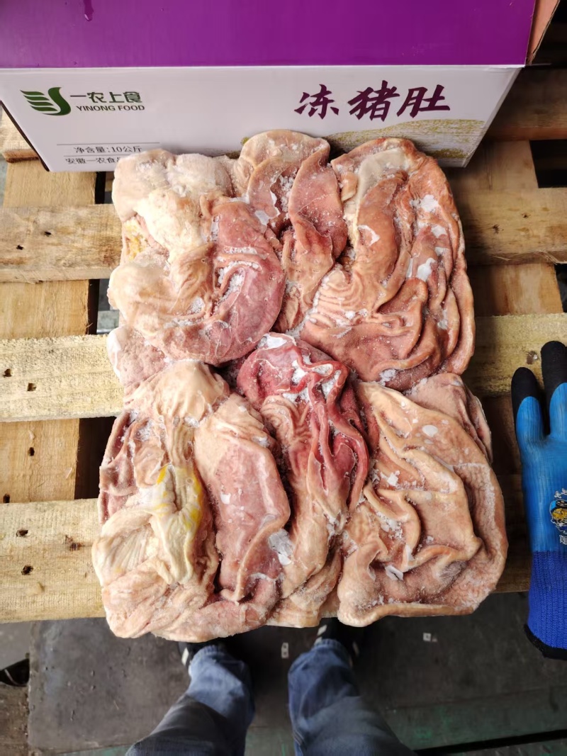 精品猪肚冷冻发货/量大从优/支持视频看货诚信经营