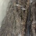 青藏牦牛肉干藏式风味五香麻辣500g包邮支持代发