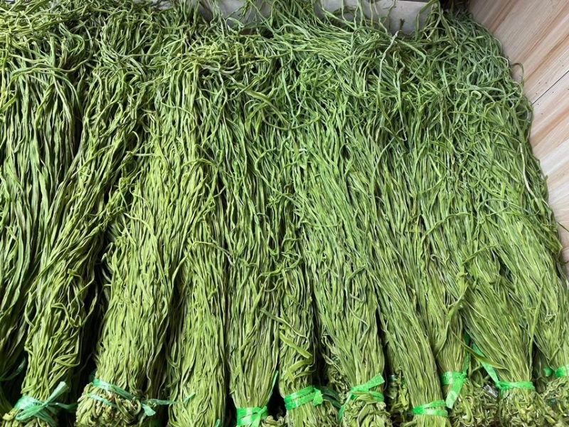 精品云南贡菜