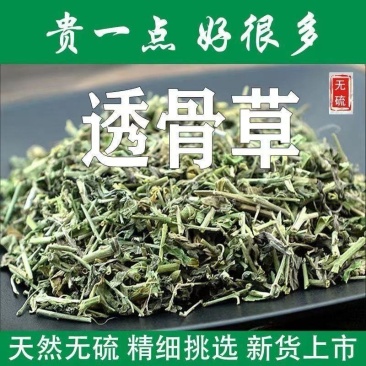 珍珠透骨草中药材精选透骨草野生透骨草透骨草泡脚