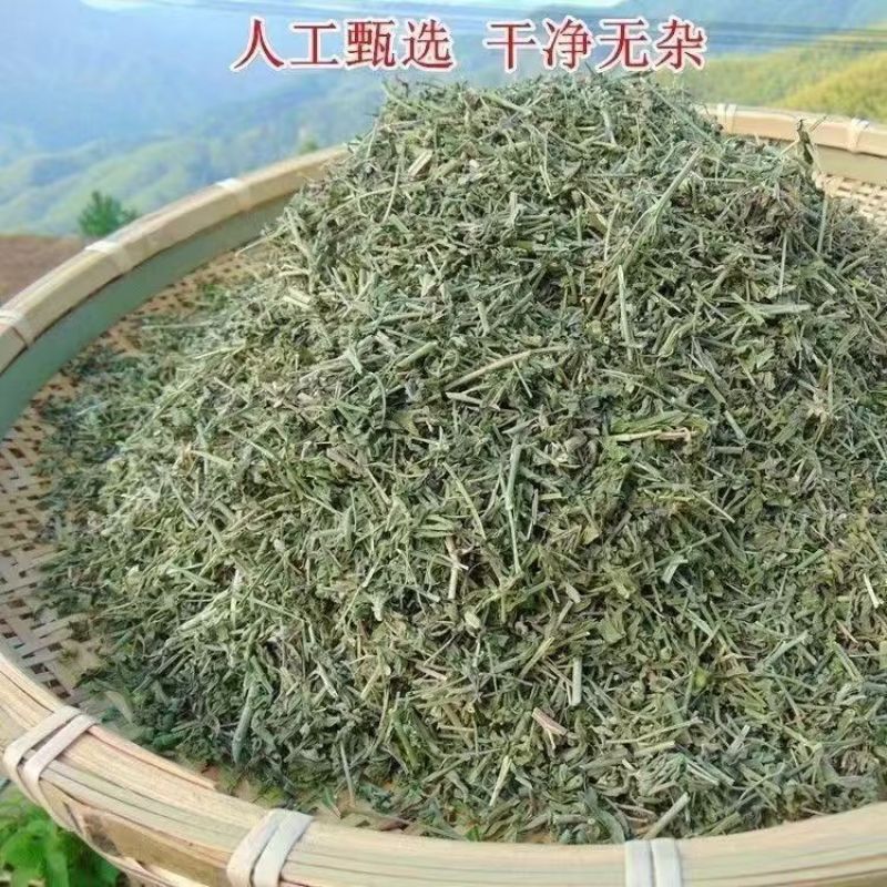 珍珠透骨草中药材精选透骨草野生透骨草透骨草泡脚