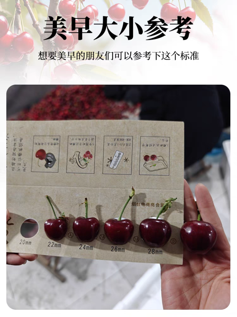美早樱桃脆甜多汁电商批发市场各大平台价格便宜