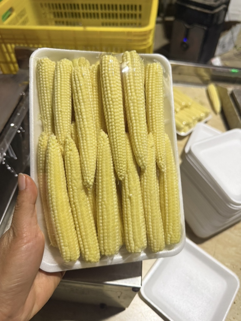 去皮玉米笋