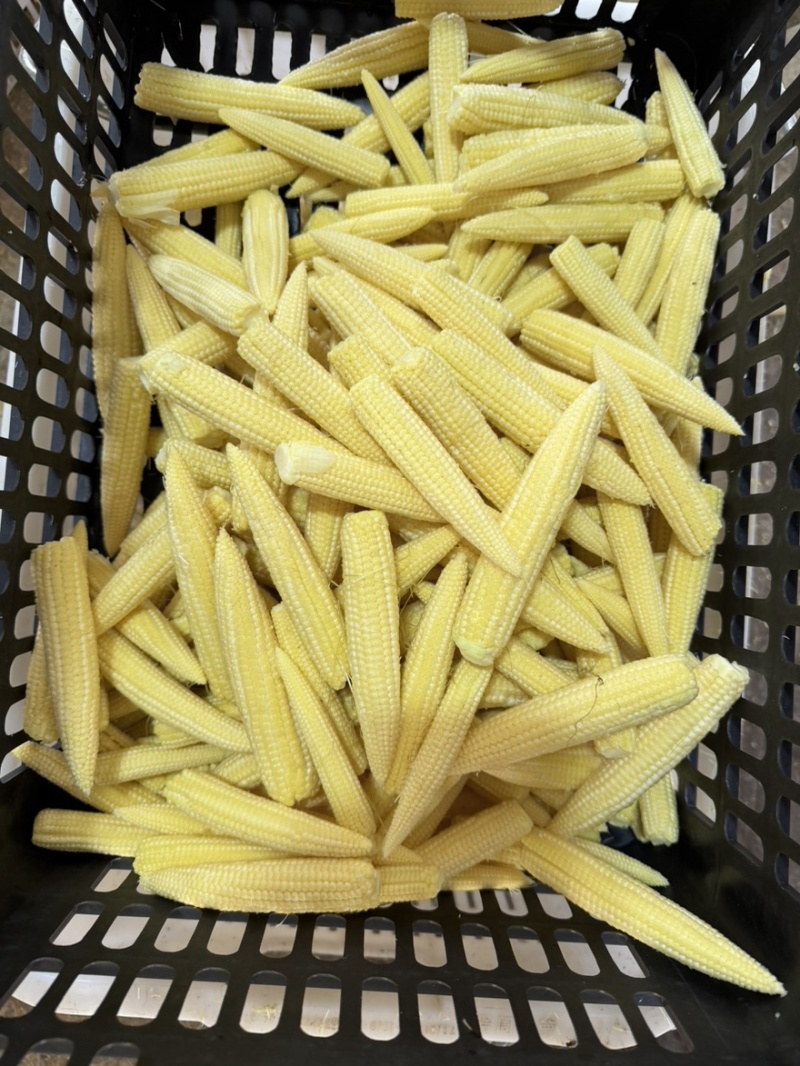 去皮玉米笋