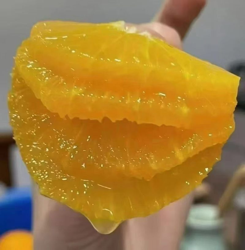 春橙伦晚