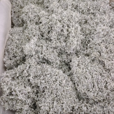 湘西优质莓茶