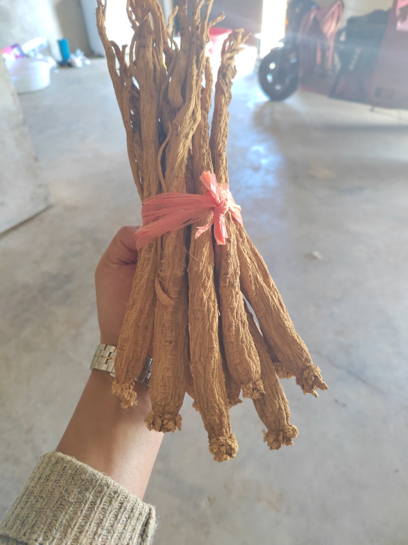 贵州威宁精品党参