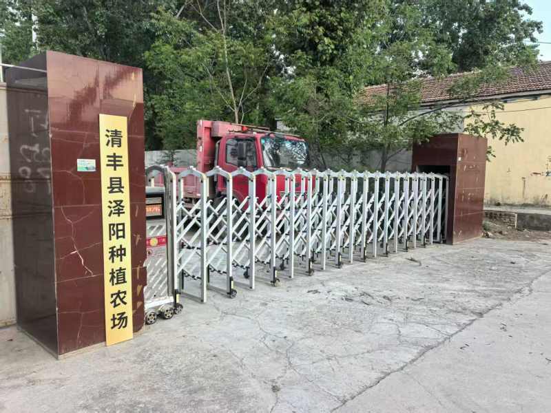 河南濮阳红薯苗红瑶苗百薯一号大型育苗基地200多个大棚