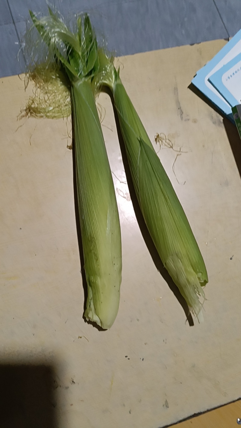 玉米笋