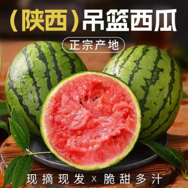 【938吊兰西瓜】陕西小吊瓜/2K西瓜/欢迎来电咨询