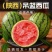【938吊兰西瓜】陕西小吊瓜/2K西瓜/欢迎来电咨询