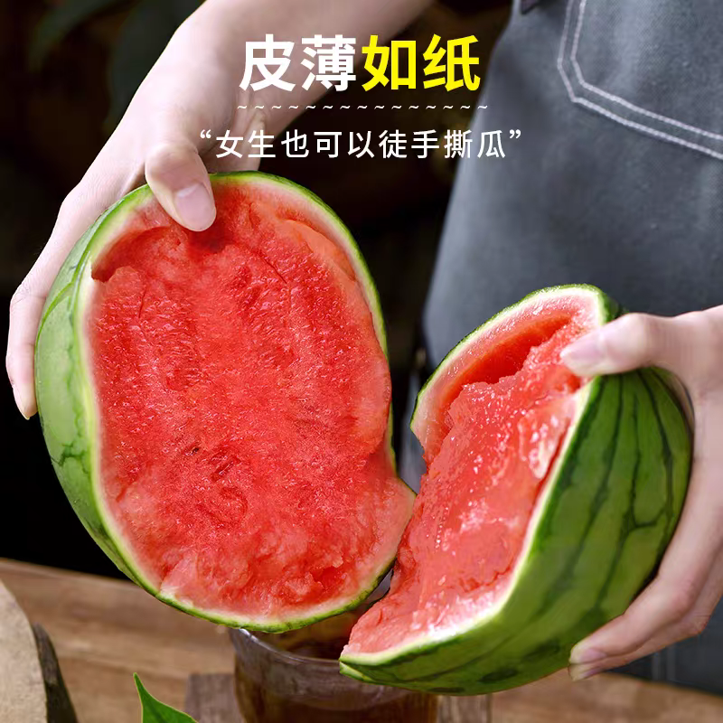 【938吊兰西瓜】陕西小吊瓜/2K西瓜/欢迎来电咨询