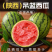 【938吊兰西瓜】陕西小吊瓜/2K西瓜/欢迎来电咨询