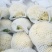 【陕西泾阳】优质松花菜大量上市产地直供代办代收