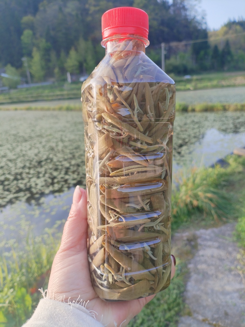新鲜杀青莼菜