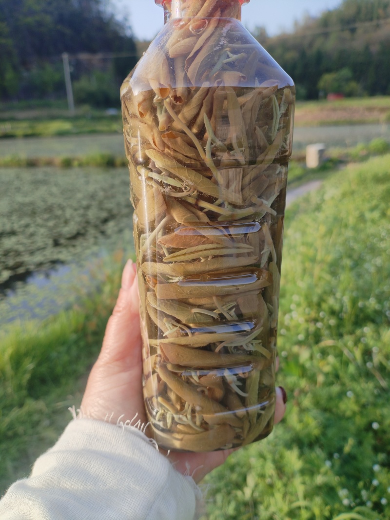 新鲜杀青莼菜