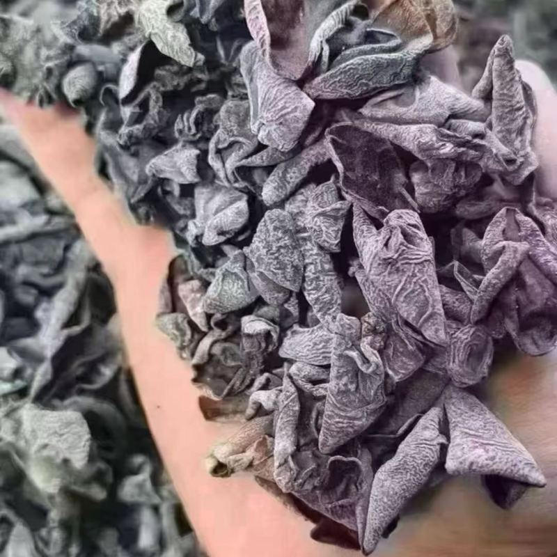 黑木耳可地摊商超餐饮可视频看货现货供应
