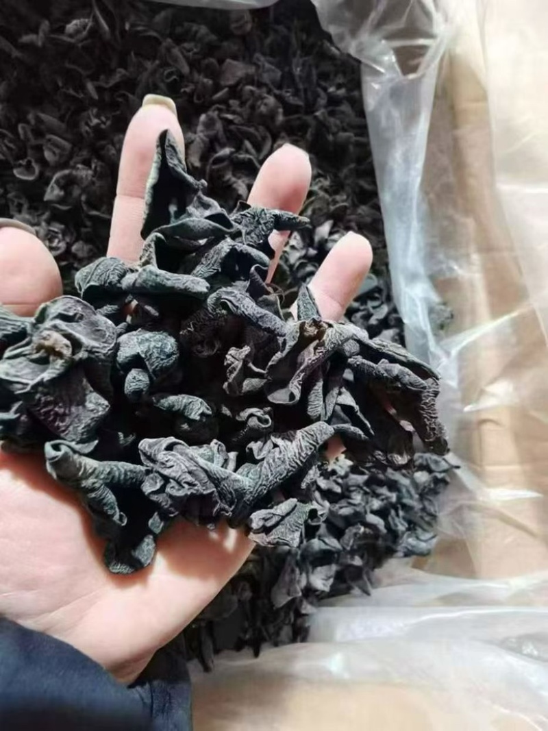 黑木耳可地摊商超餐饮可视频看货现货供应