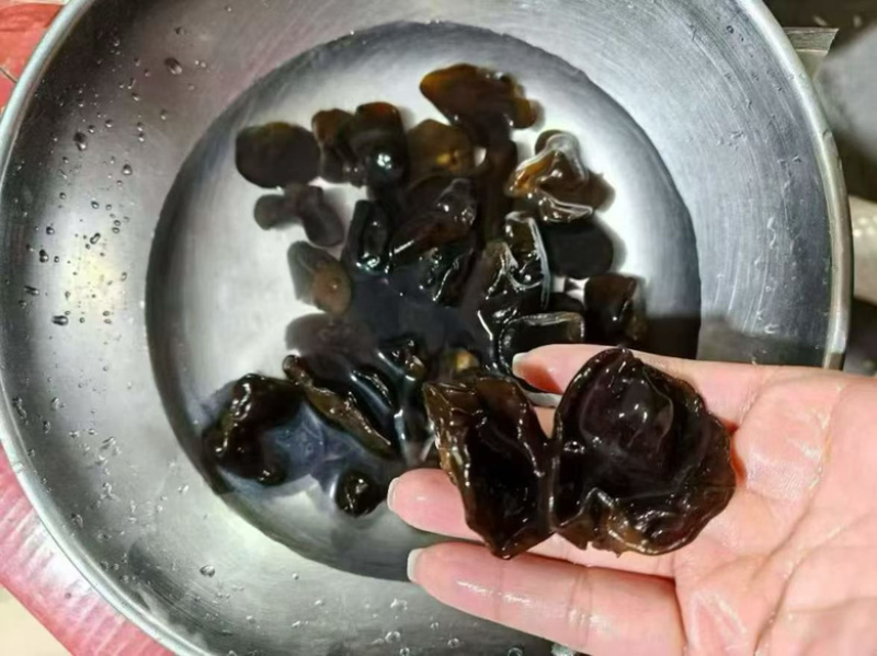 黑木耳可地摊商超餐饮可视频看货现货供应