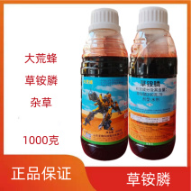 大荒蜂草铵膦非耕地除草剂1000克正品保证