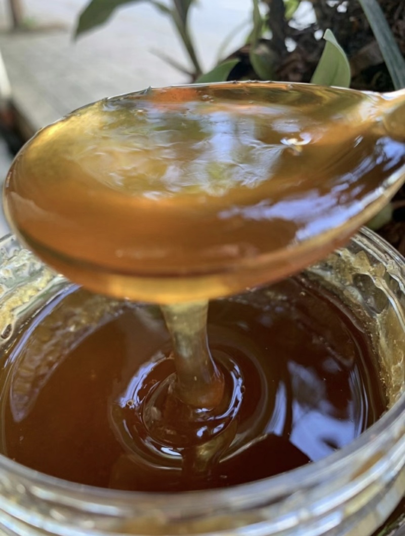 正宗土蜂蜜，一年只取一次的蜂蜜