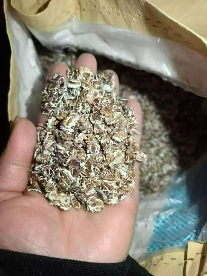 五黑燕麦片可地摊商超餐饮可视频看货现货供应