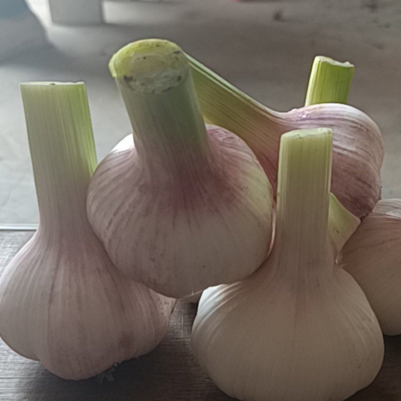 扒皮蒜，大量供应，代发全国各大市场电商平台社区团购大型超