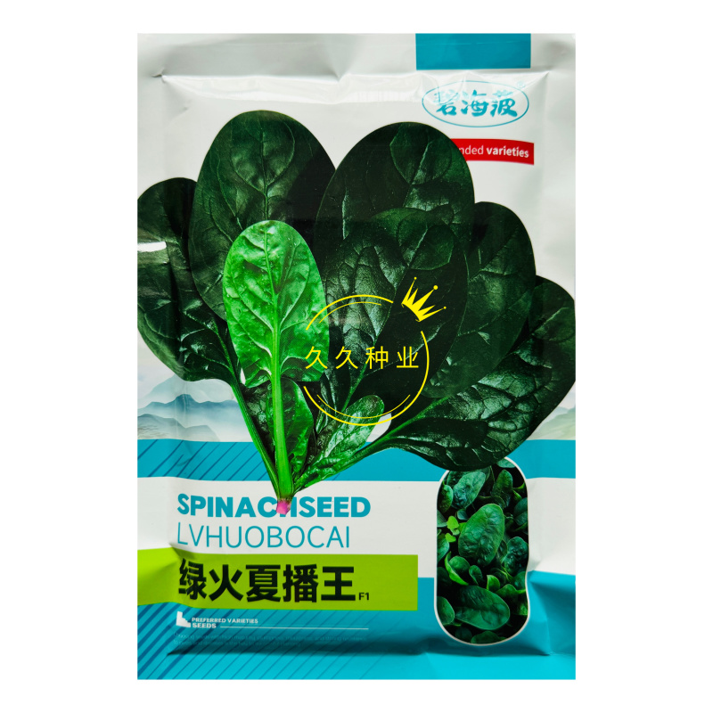 绿火夏播王菠菜种子耐热耐寒抗病抗抽苔高产晚春越夏早秋播菠