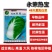 永荣热宝48天夏阳白菜种子早熟耐高温纤维少色淡绿夏阳白菜