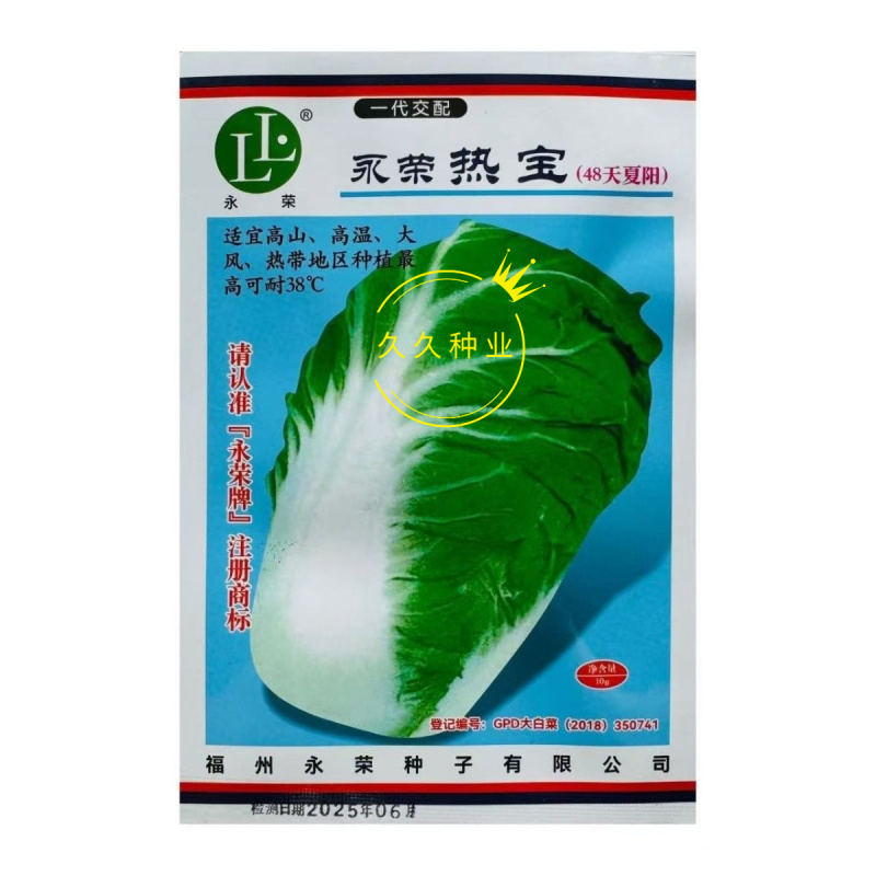 永荣热宝48天夏阳白菜种子早熟耐高温纤维少色淡绿夏阳白菜