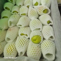 新疆库尔勒香梨