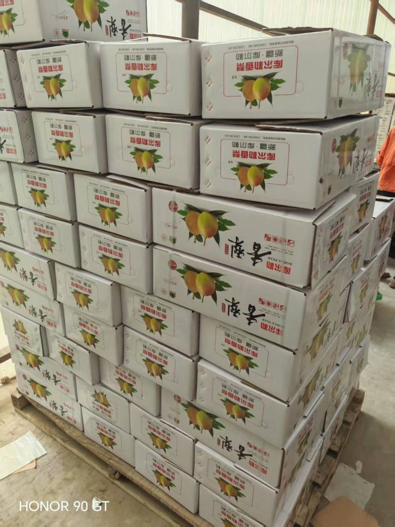 新疆库尔勒香梨