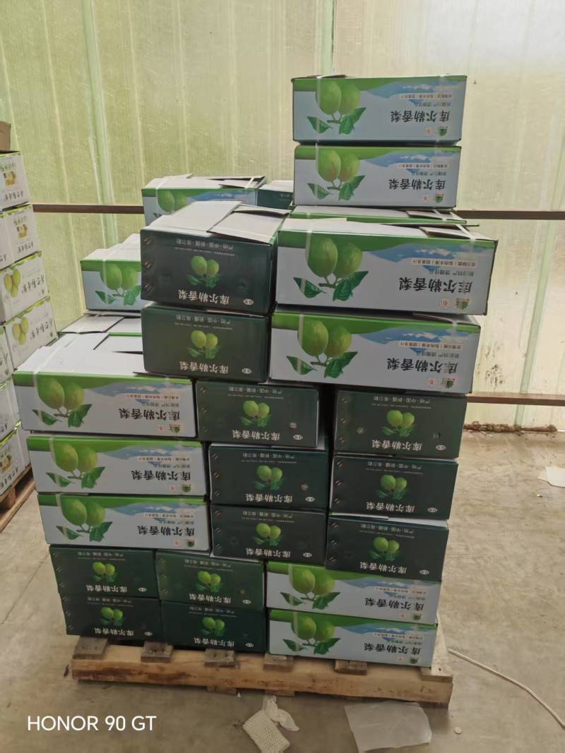 新疆库尔勒香梨