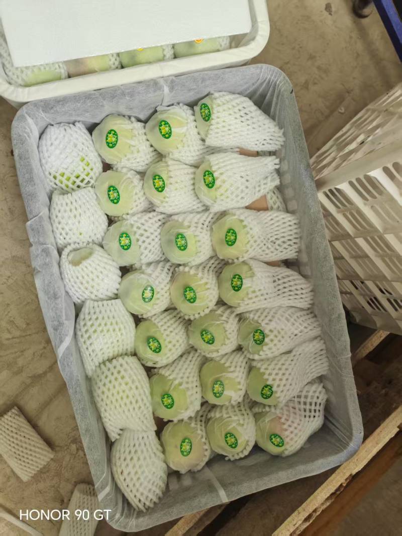 新疆库尔勒香梨