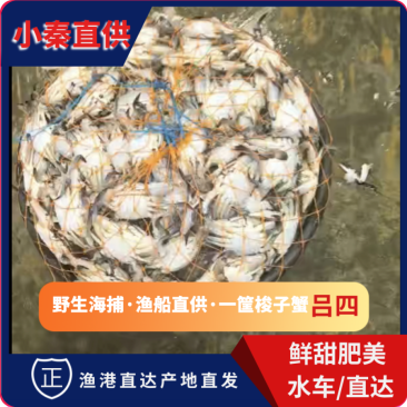 每日挑死蟹子（香辣蟹**）