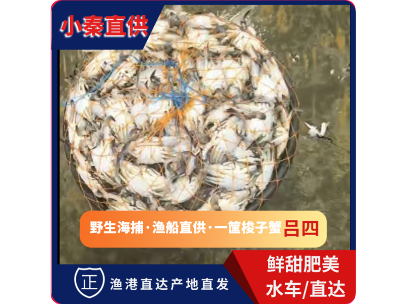 每日挑死蟹子（香辣蟹**）