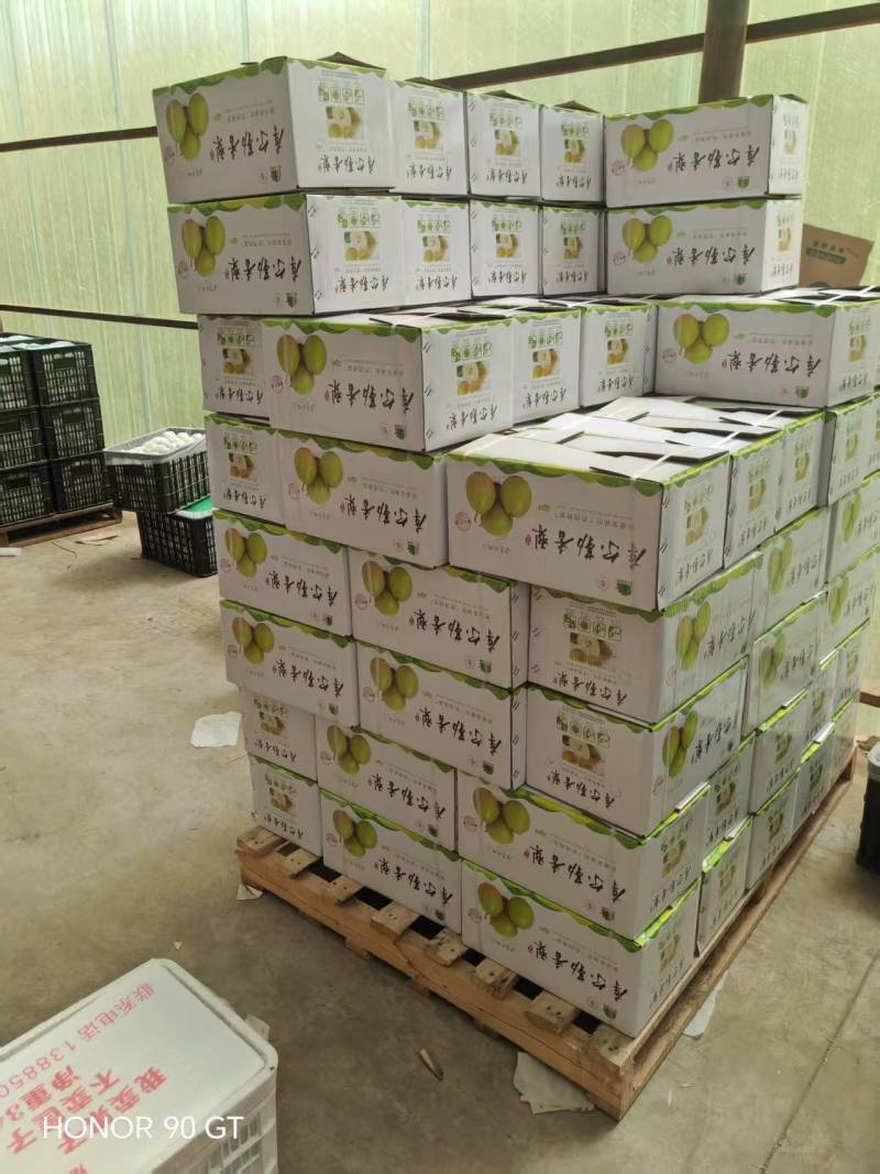 库尔勒香梨分级精品