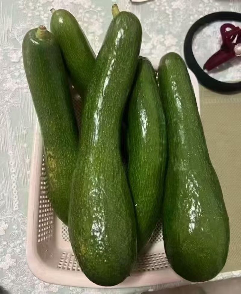 [顺丰包邮]广西长条形牛油果巨无霸牛油果