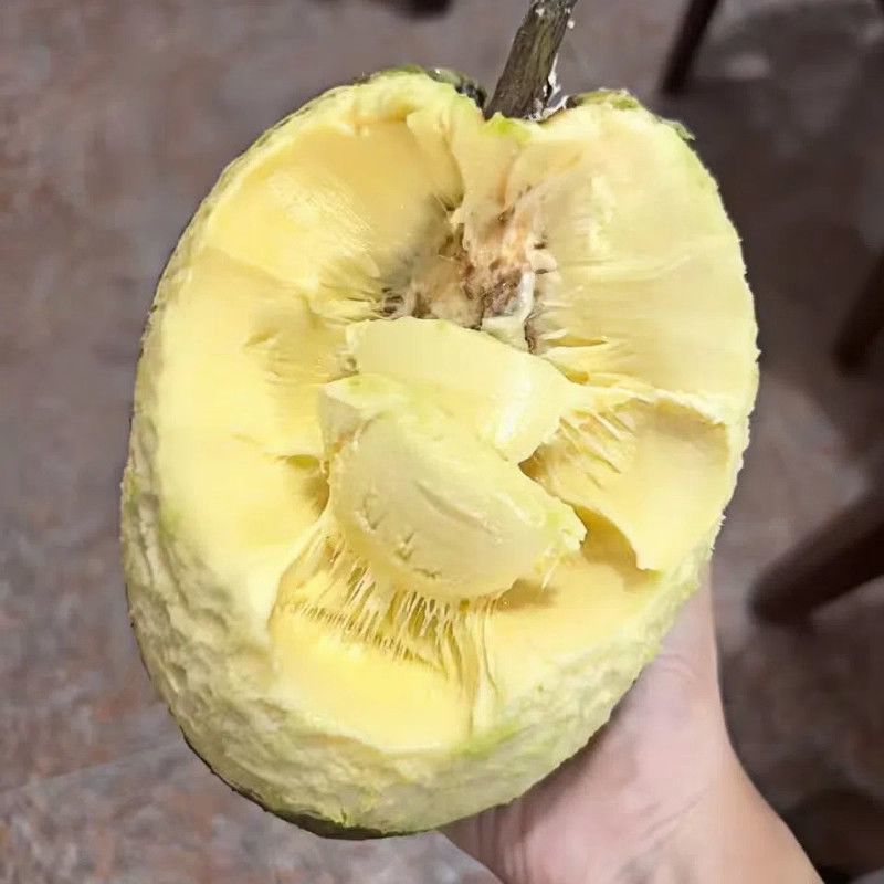 新鲜面包果[顺丰包邮]网红水果