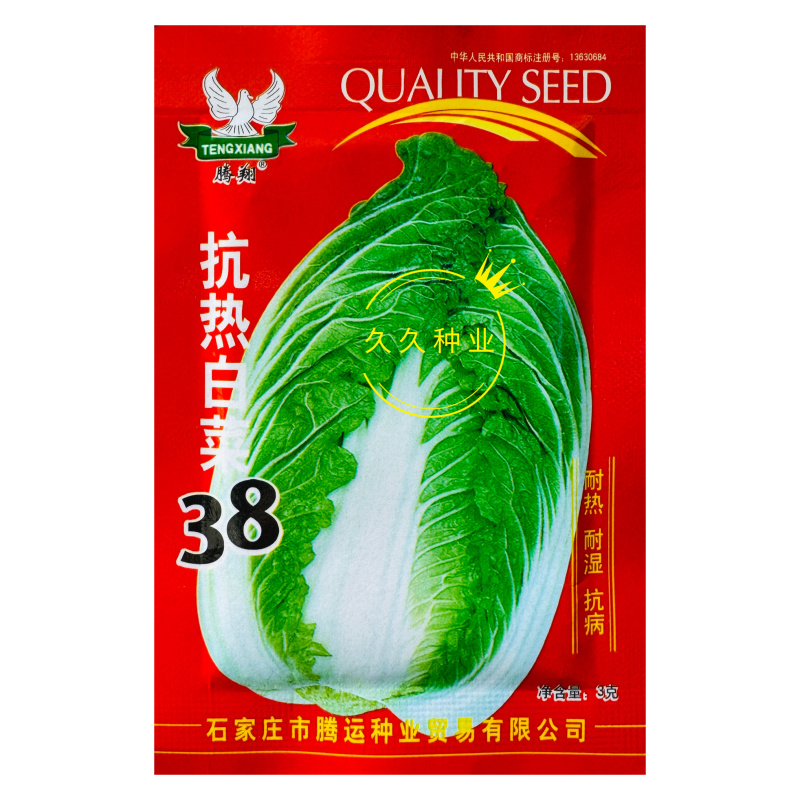 抗热白菜38白菜种子杂交高产抗病耐热耐抽薹大白菜种籽夏秋