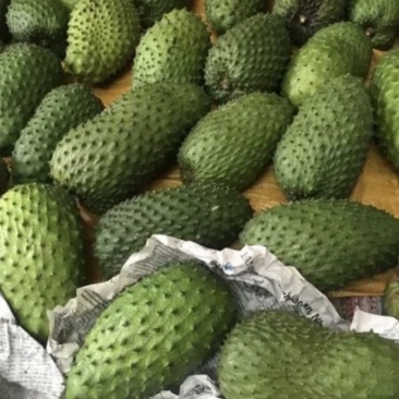 新鲜刺果番荔枝红毛榴莲批发价格