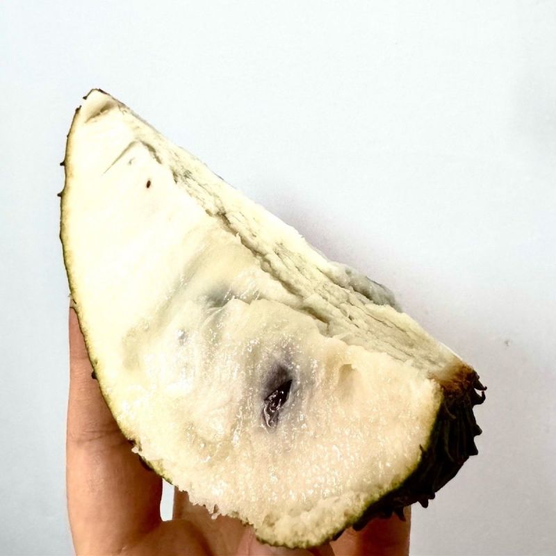 红毛榴莲刺果番荔枝新鲜水果[顺丰包邮]释迦果中的巨无霸